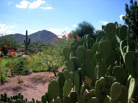 Scottsdale Cottonwoods Resort & Suites Extérieur photo
